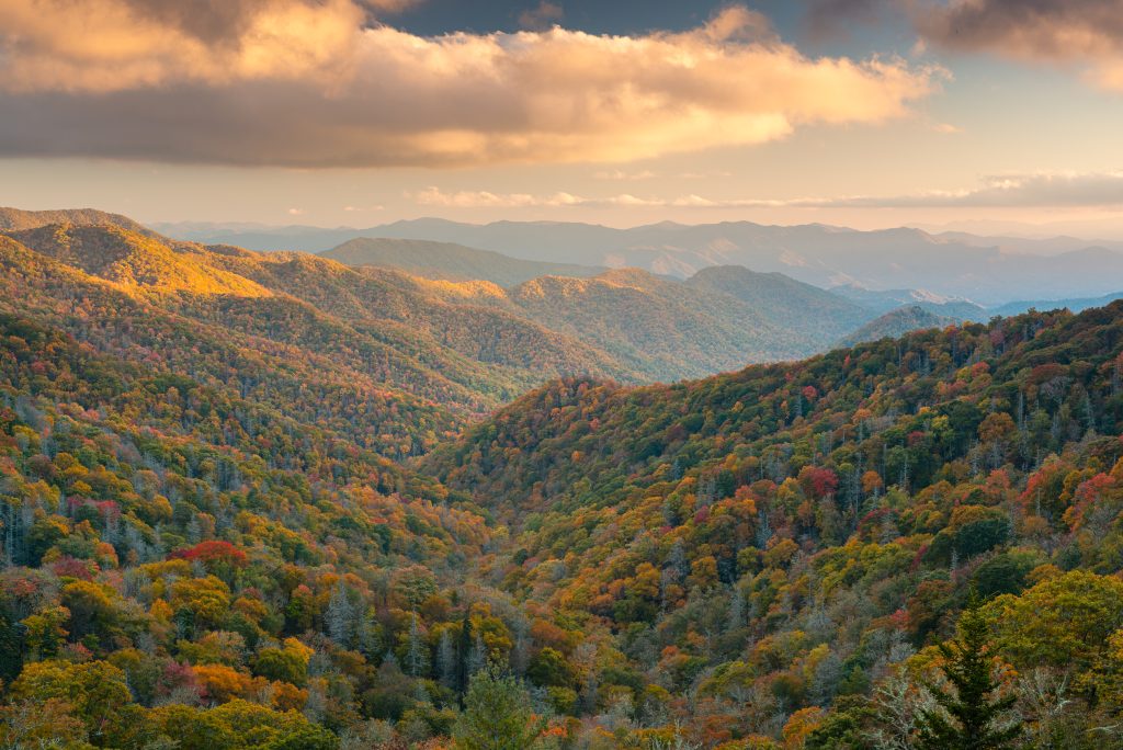 The Great Smoky Mountains in the Appalachian chain